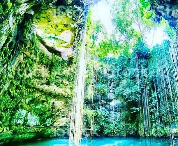 Сasa de vacaciones Nagual Yoga Jungle Retreat @route De Cenote *