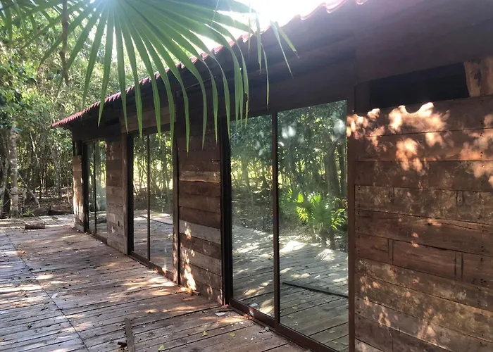 Nagual Yoga Jungle Retreat @route De Cenote *